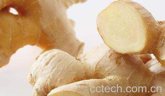 怀酱汁的功效与作用-1