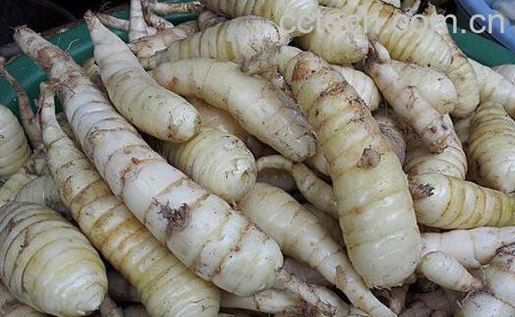 东京薯薯的功效与作用-1