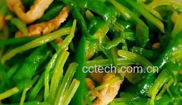 老山芹怎么做好吃 老山芹的食用方法-0