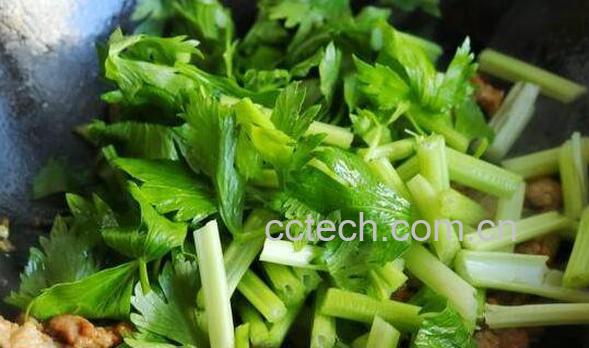 老山芹怎么做好吃 老山芹的食用方法-1