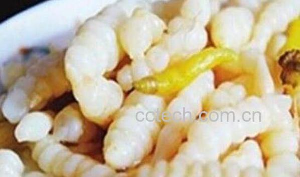 地藕怎么吃 地藕的食用方法-1