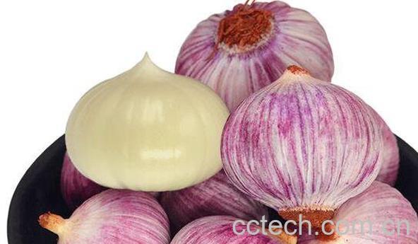 独头蒜的功效与作用-1