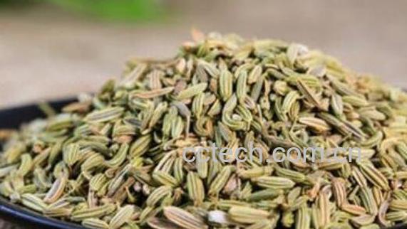 茴芹果的功效与作用-0