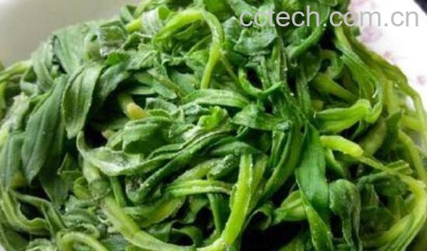 面条菜怎么吃 面条菜的食用方法-1