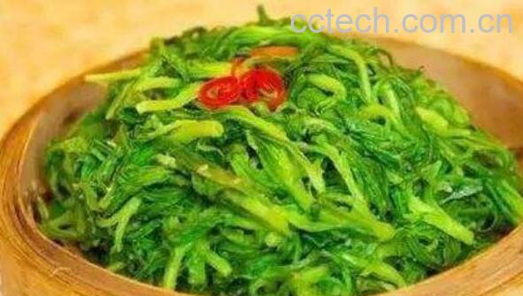 面条菜怎么吃 面条菜的食用方法-0