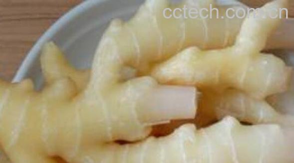 竹根姜的功效与作用-0