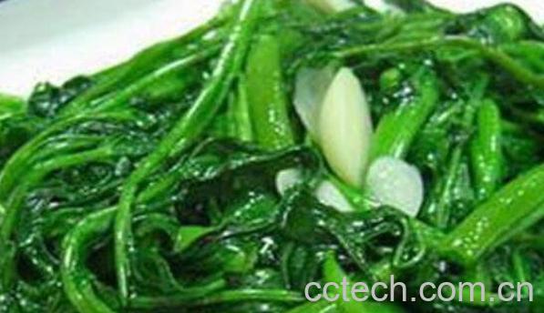 蕹菜怎么吃 蕹菜的吃法教程-1