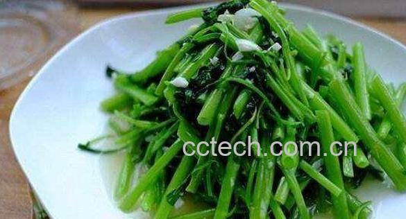 蕹菜怎么吃 蕹菜的吃法教程-0