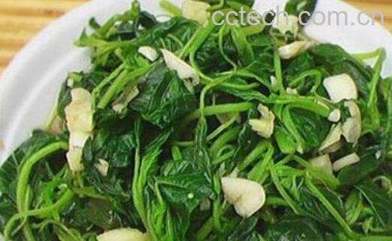 迷糊菜怎么吃 迷糊菜怎么吃好吃-0