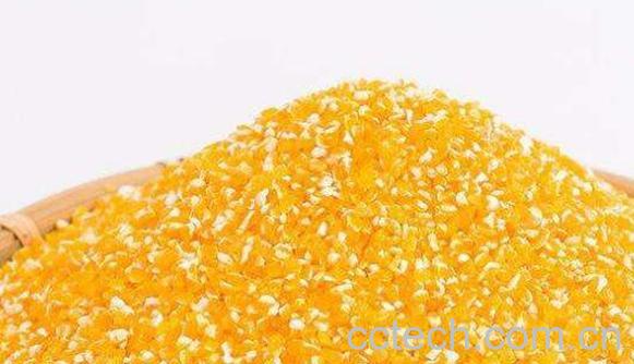 玉米糁的功效与作用 玉米糁的营养价值-0