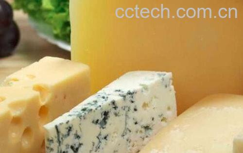 发酵奶酪-0