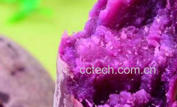 女性为什么不能吃紫薯 吃紫薯的禁忌-1