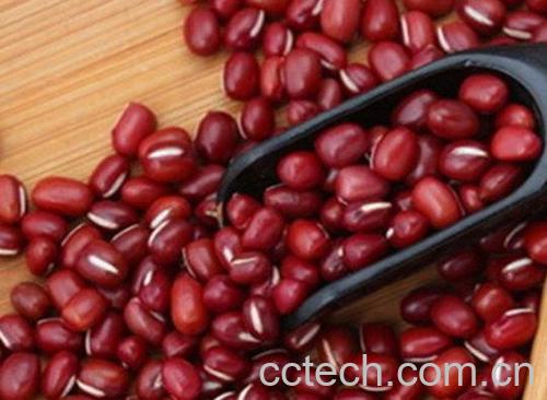红豆-0