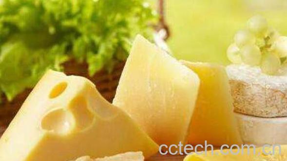 女性吃奶酪有什么好处 吃奶酪的坏处-1