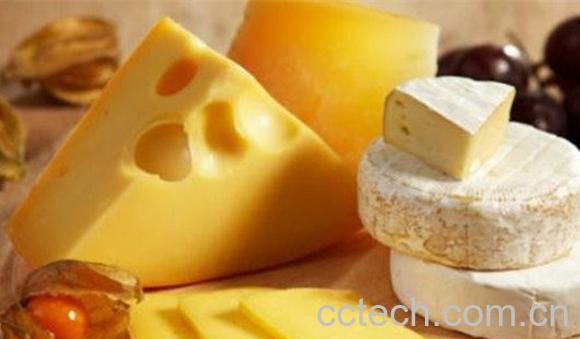 奶酪-0