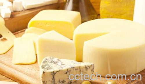 奶酪-0