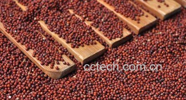 红黍米的功效和作用-1