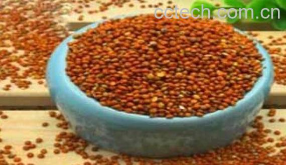 红黍米的功效和作用-0