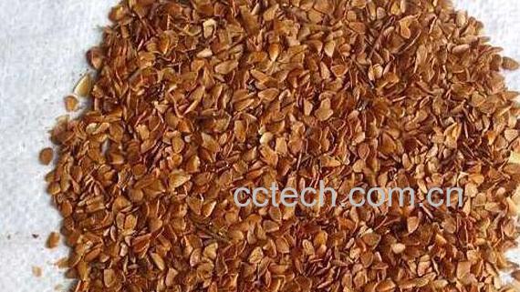 香铃子泡水有什么用 香椿籽泡水的副作用-1