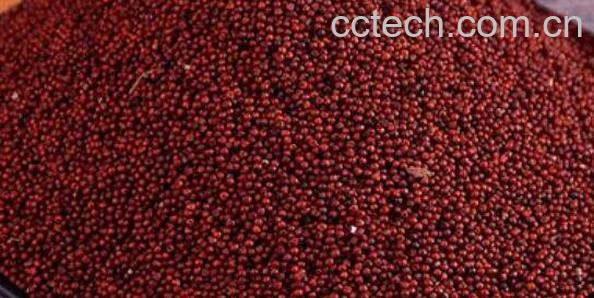 红粟米有什么营养价值 吃红粟米的好处-1