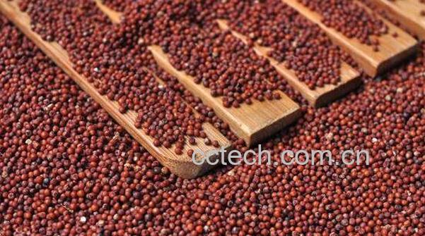 红粟米有什么营养价值 吃红粟米的好处-0