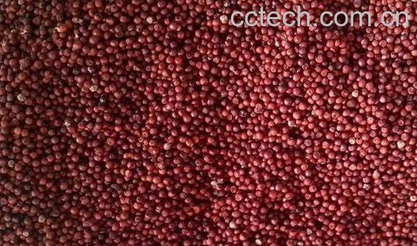 红粟米怎么吃 红粟米的吃法教程-1