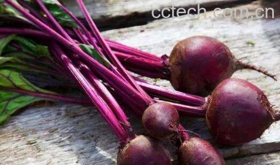 甜菜根怎么吃最好 甜菜根的吃法-0