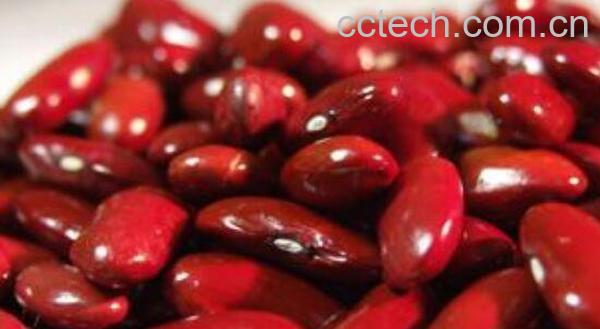 红芸豆怎么煮容易烂 红芸豆快速煮烂小窍门-0