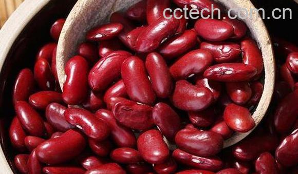 红芸豆怎么煮容易烂 红芸豆快速煮烂小窍门-1