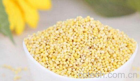 稷米怎么吃 稷米的食用方法-1