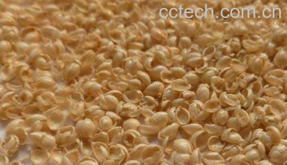 蒙稷的功效与作用 蒙稷的禁忌-0