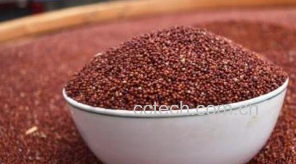 _子粉的功效与作用-1