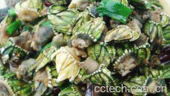 海佛手怎么吃 海佛手的食用方法-1