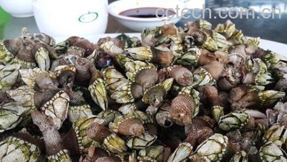 海佛手怎么吃 海佛手的食用方法-0