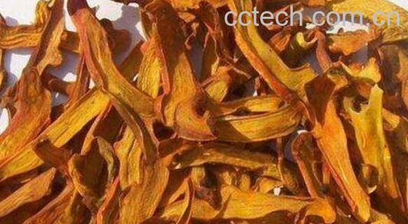 毛姜是骨碎补吗 毛姜和骨碎补的区别-1