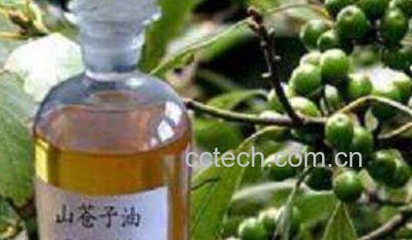 野山胡椒油如何做 野山胡椒油制作过程-1