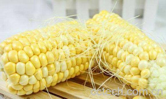 玉米须-1