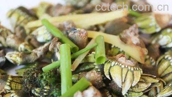 佛手螺怎么吃图解 佛手螺怎么保存方法-1