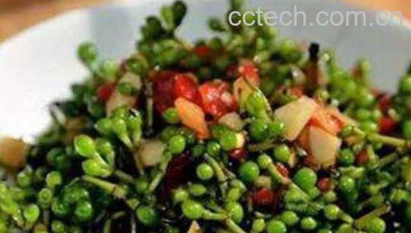 木姜子怎么泡才好吃 木姜子用酱油泡的做法-0