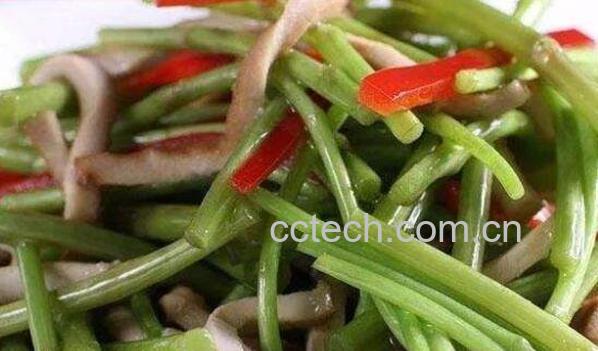 蒌蒿怎么吃 蒌蒿的吃法大全-1