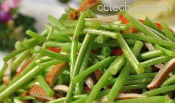 蒌蒿怎么吃 蒌蒿的吃法大全-0