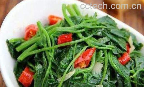 灰菜的功效与作用 灰菜的食用方法-1