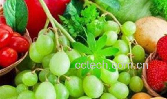 含维生素a的食物有哪些 哪些食物含维生素a丰富-1