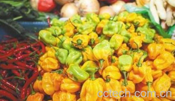黄辣子怎么做好吃 黄辣椒怎么吃-1