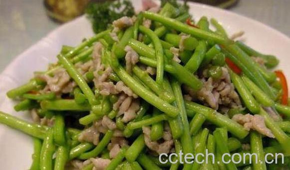 黎蒿的功效与作用 黎蒿的禁忌-0