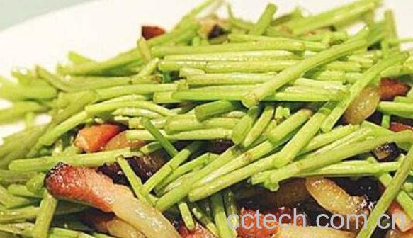 黎蒿的功效与作用 黎蒿的禁忌-1