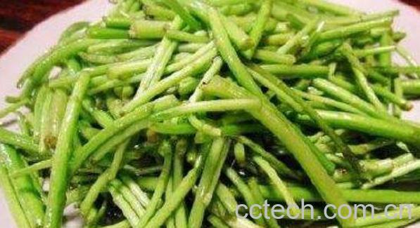 泥蒿怎么吃 不宜食用泥蒿的人群-1