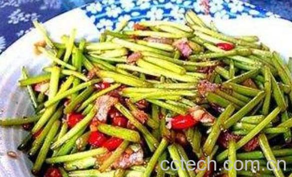 泥蒿和藜蒿的区别 吃泥蒿的好处-1