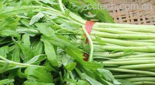 泥蒿和藜蒿的区别 吃泥蒿的好处-0