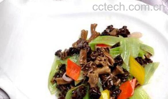 巴楚蘑菇怎么吃 巴楚蘑菇的做法-1